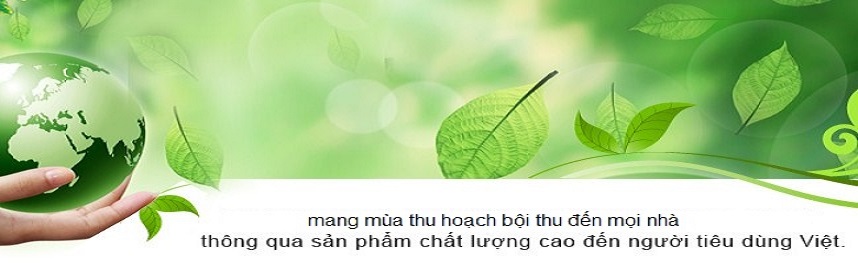 Công ty cổ phần giống cây trồng Đ.H Nông nghiệp 1