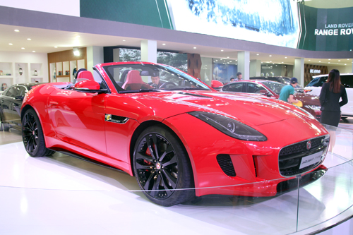 Jaguar - 