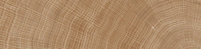 Ascote Teca  - 29.4*120