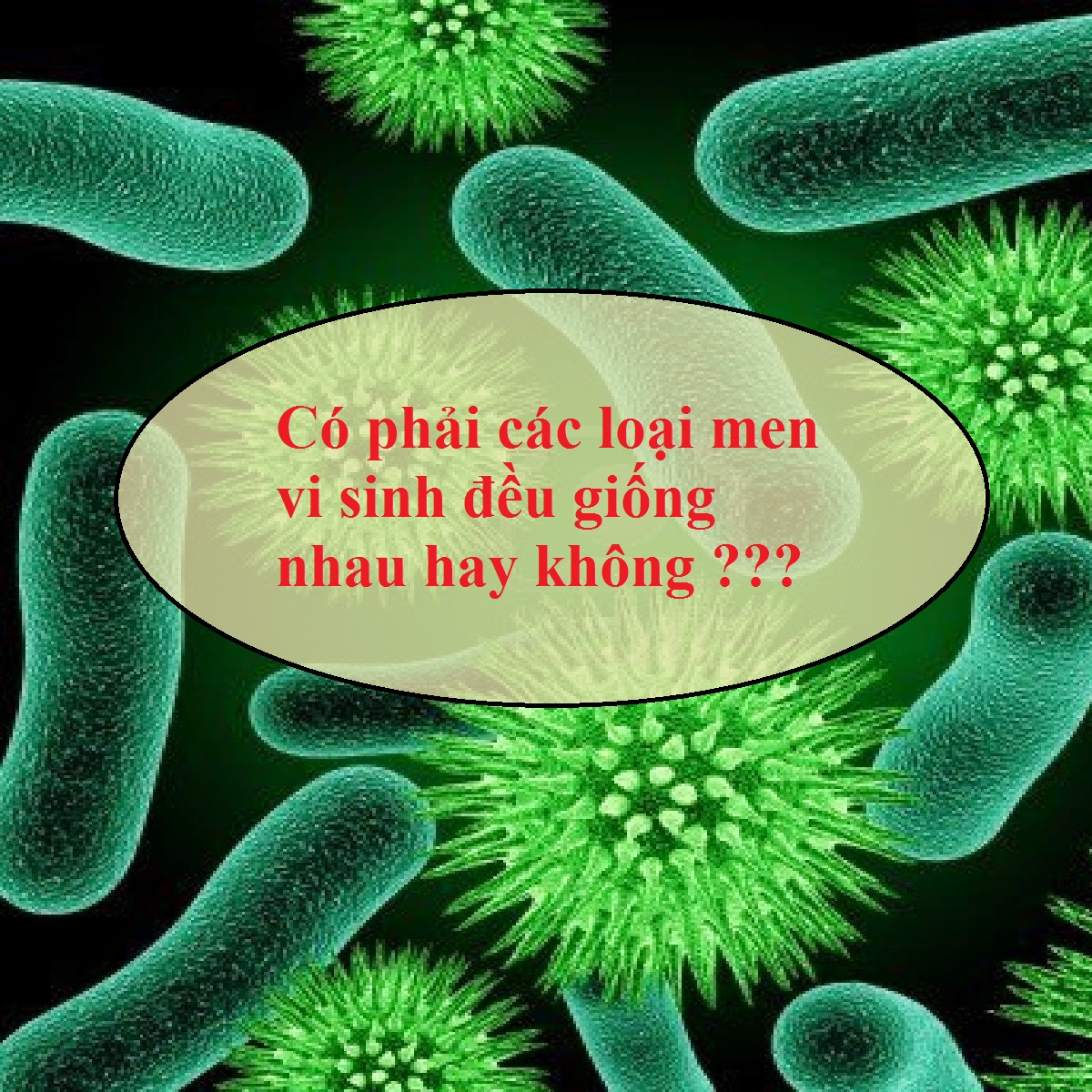 CÁC LOẠI MEN VI SINH ĐỀU GIỐNG NHAU ?