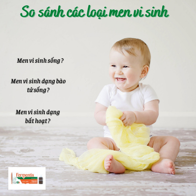 So sánh các loại men vi sinh