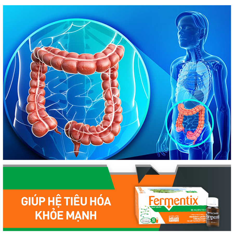 HỘI CHỨNG RUỘT KÍCH THÍCH (IBS) và TRỊ LIỆU MEN VI SINH (PROBIOTIC)