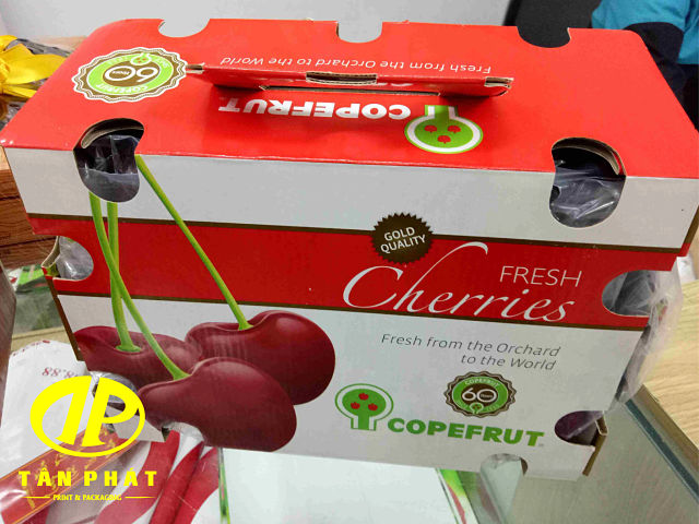 Hộp đựng cherry quai xách