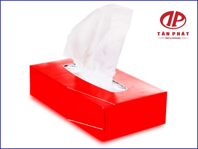 In hộp đựng khăn giấy