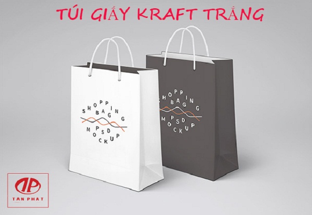 túi giấy Kraft trắng