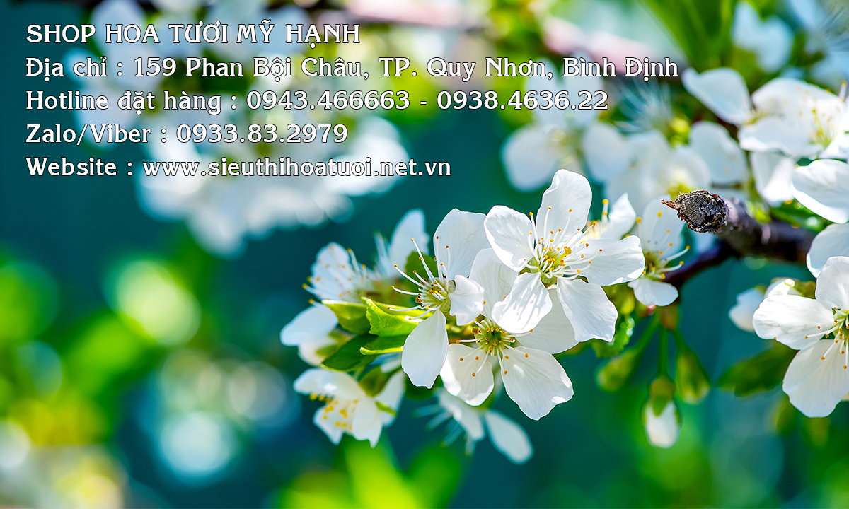 Shop hoa tươi Mỹ Hạnh thành phố Quy Nhơn Tỉnh Bình Định