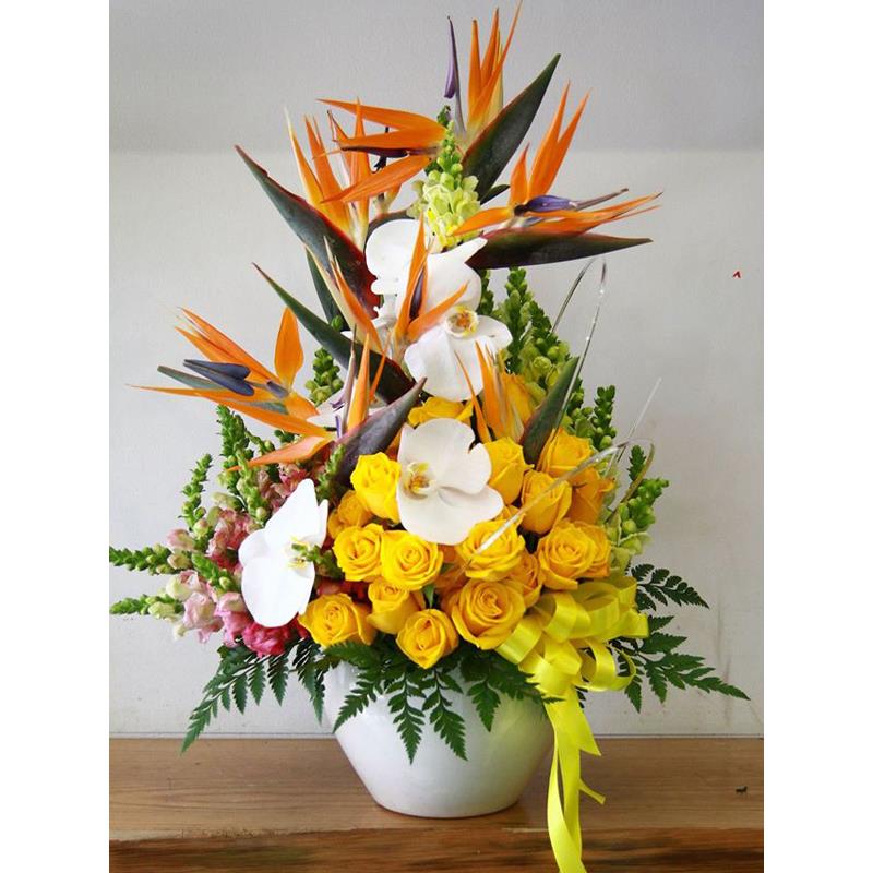 Hoa sinh nhật sang trọng DHCM50