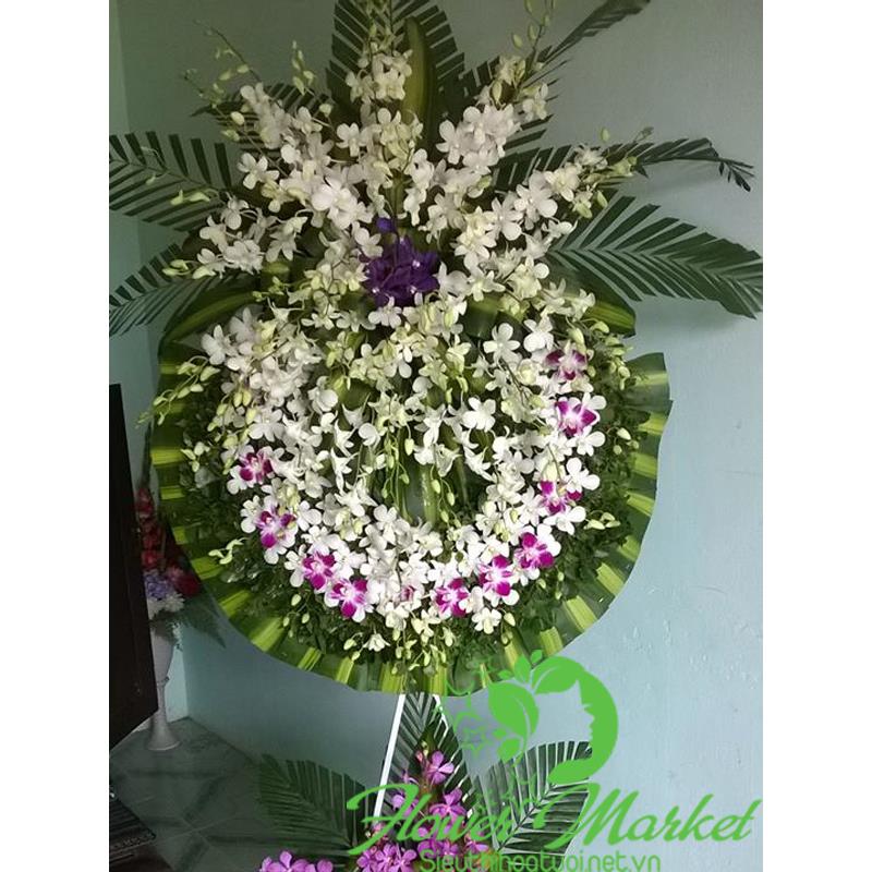 Cửa hàng ban hoa tươi tại Bình Định HCB428
