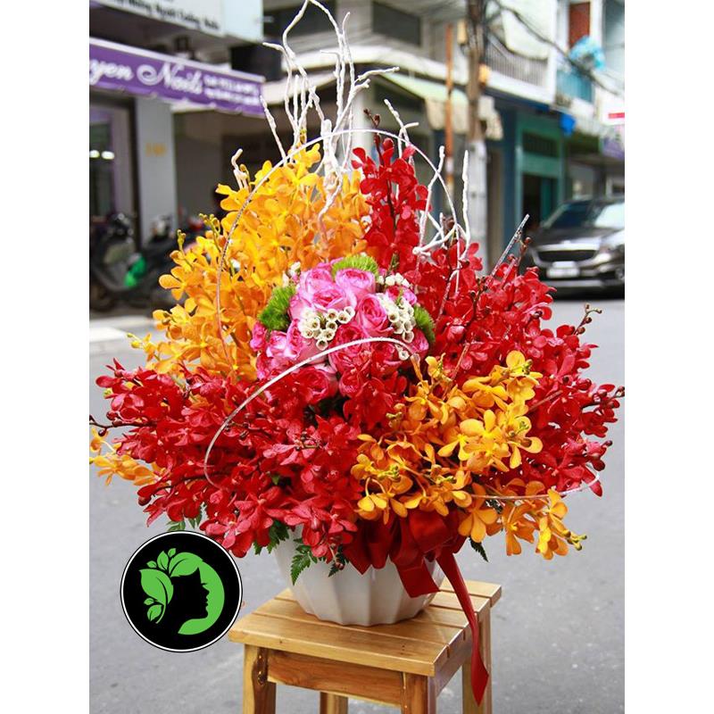 Hoa chúc mừng đẹp DHCM51