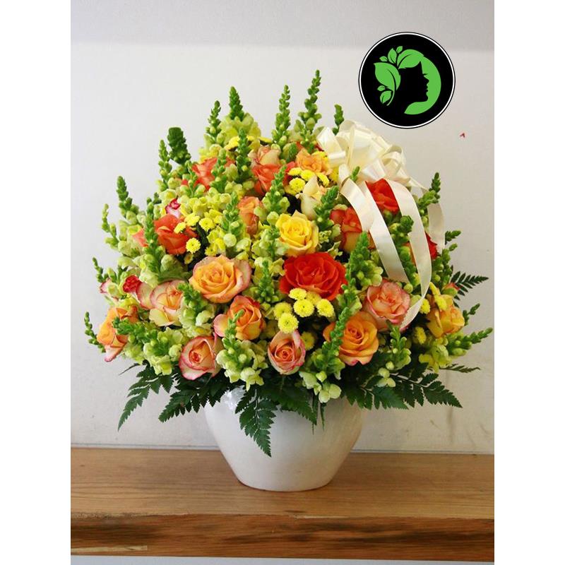 Hoa chúc mừng đẹp DHCM52