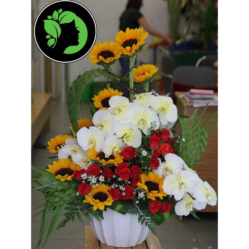 Hoa chúc mừng đẹp DHCM53