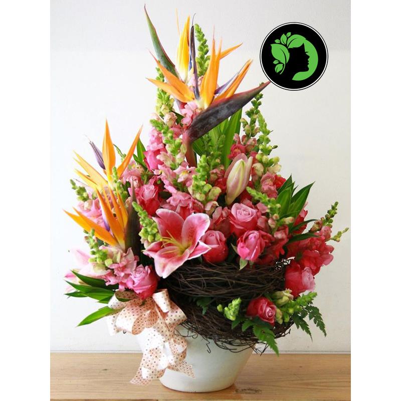 Hoa chúc mừng đẹp DHCM56