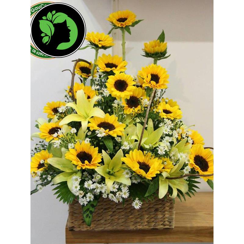 Hoa giỏ giá rẻ DHCM22