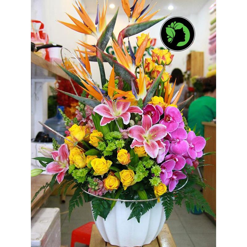 Lẵng hoa chúc mừng DHCM76