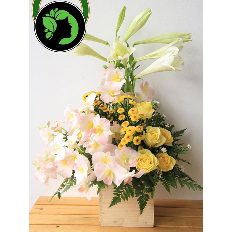 Hoa giỏ đẹp DHCM09