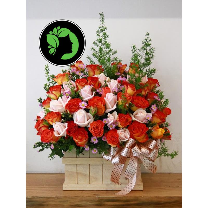 Hoa chúc mừng giá rẻ DHCM63