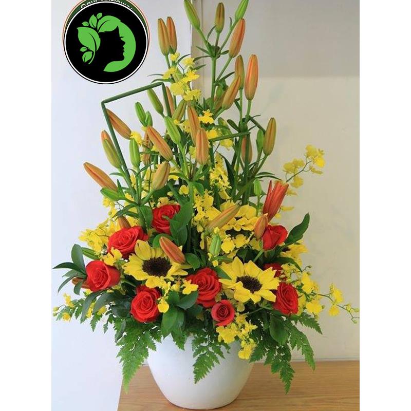 Hoa giỏ đẹp DHCM10