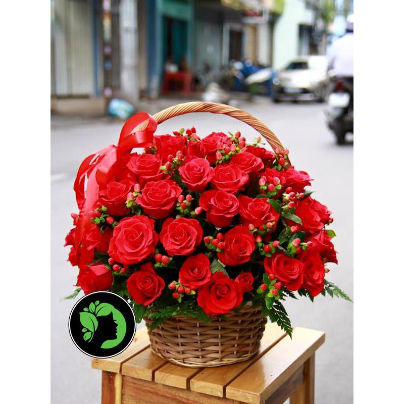 Hoa chúc mừng giá rẻ DHCM64