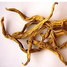 bách bộ