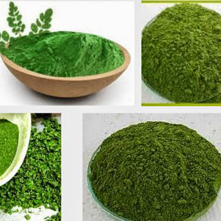 bột lá chùm ngây