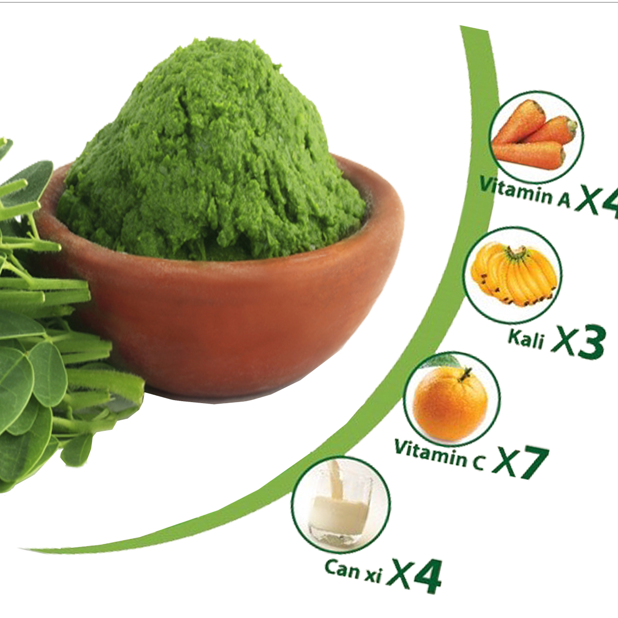 bột là chùm ngây có nhiều vitamin