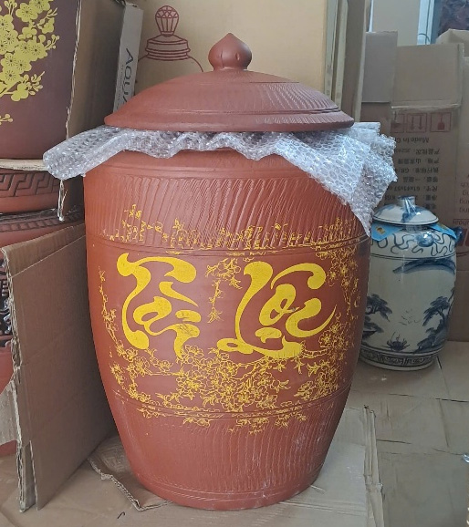 lu sanh hcm