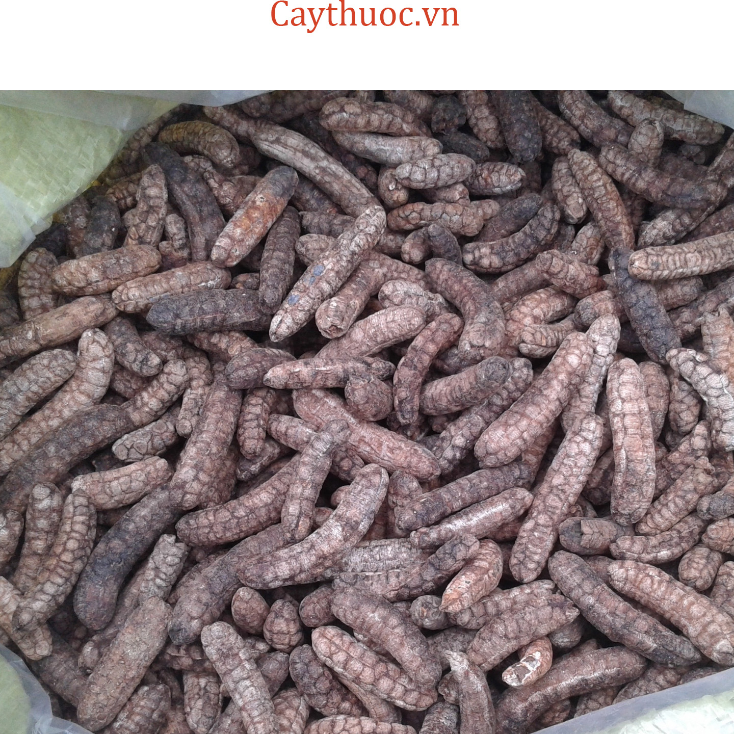 bán chuối hột