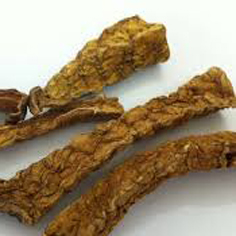 củ bình vôi