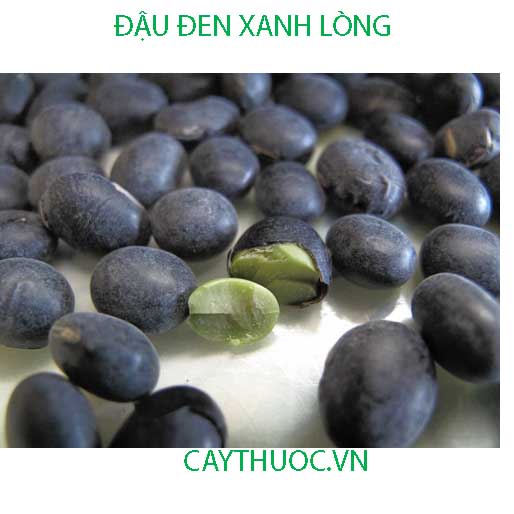 BÁN ĐẬU ĐEN