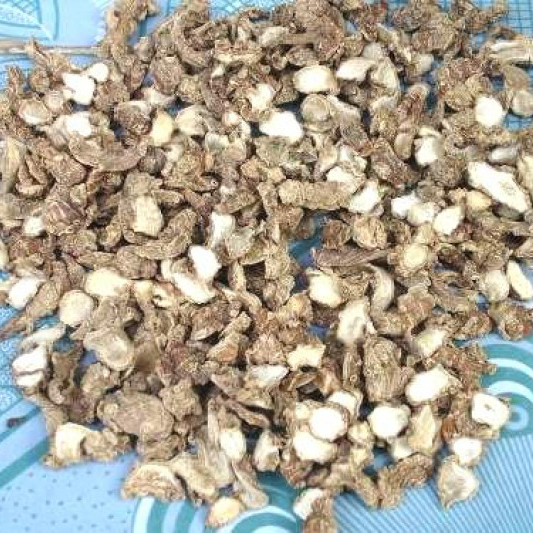 địa liền