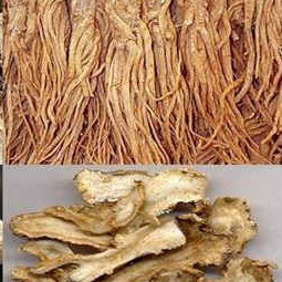 đương quy