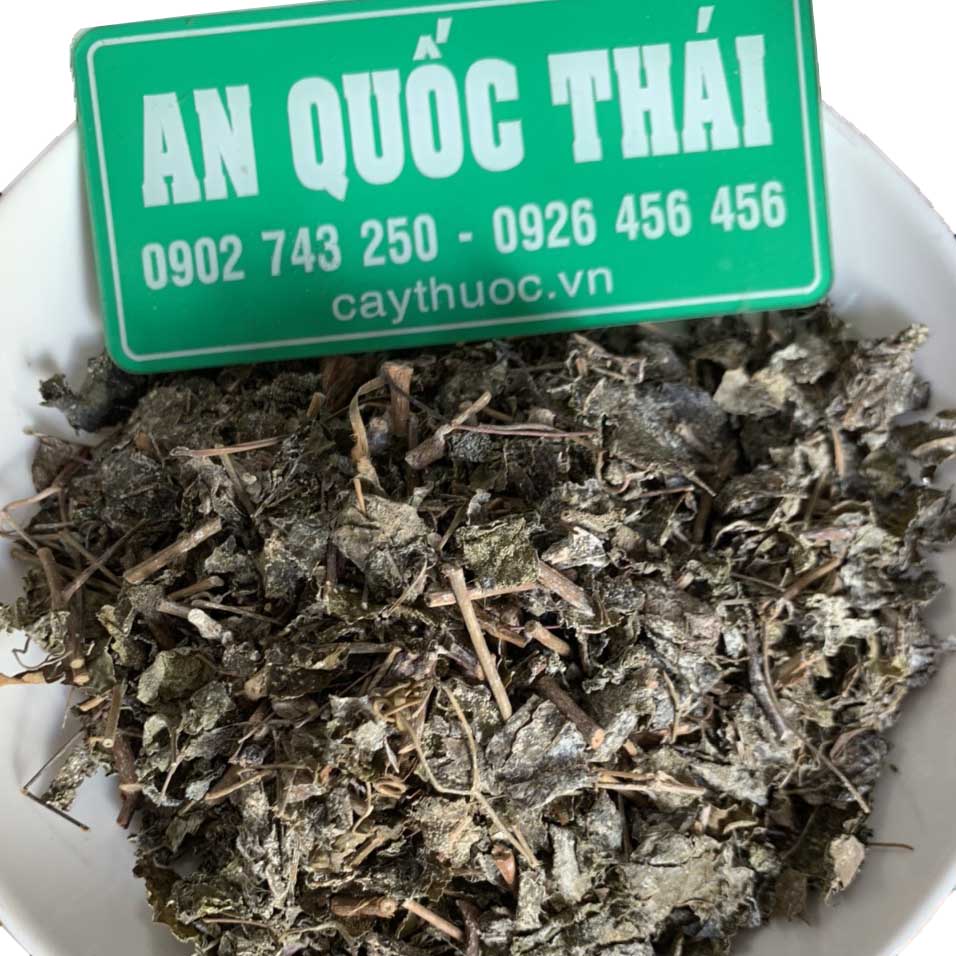 chè dây mua ở đâu