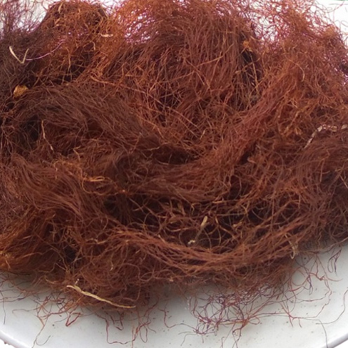 Râu ngô có tác dụng gì?