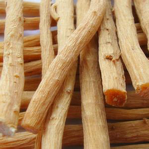 ngưu tất