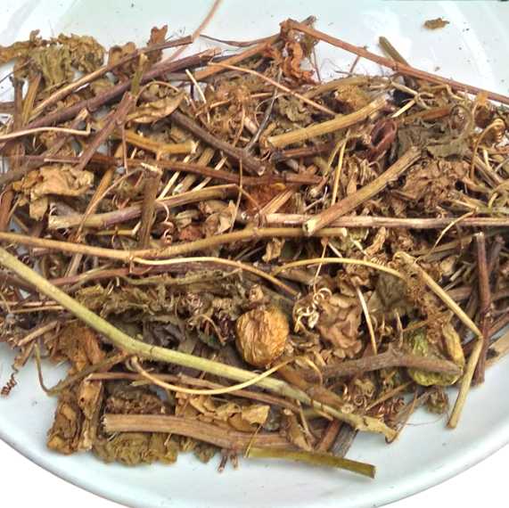 Cây lạc tiên tác dụng và cách dùng Cây lạc tiên tác dụng và cách dùng