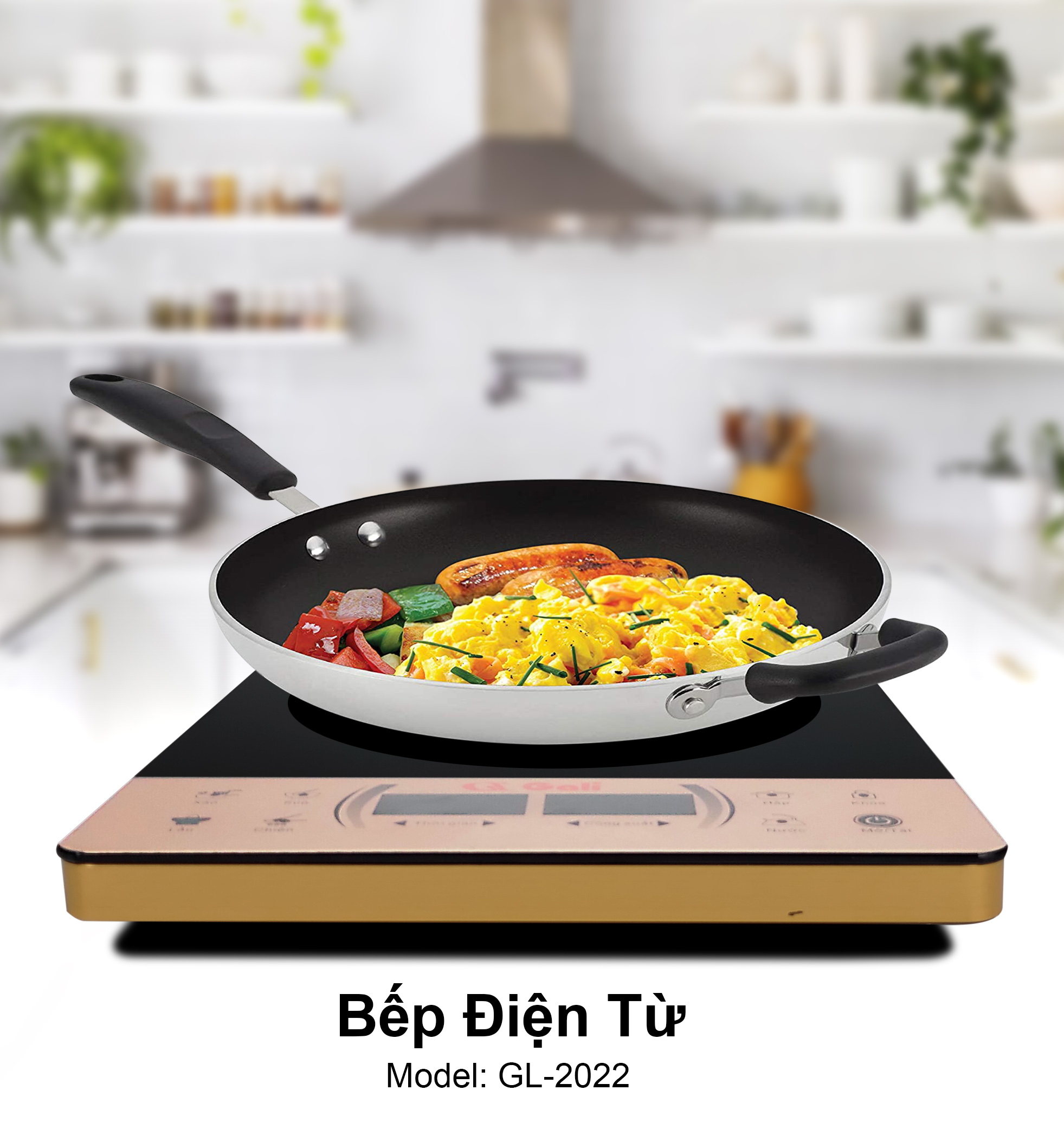 Bếp điện từ Gali GL-2022 sang trọng hiện đại nhập khẩu chính hãng