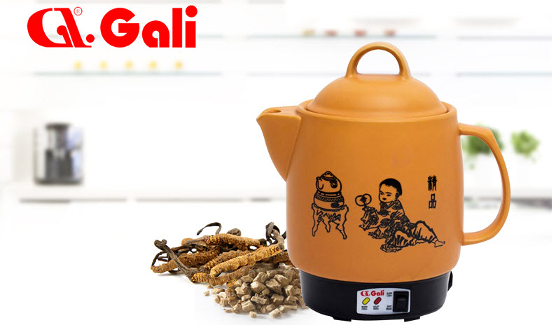 Chọn mua siêu sắc thuốc điện