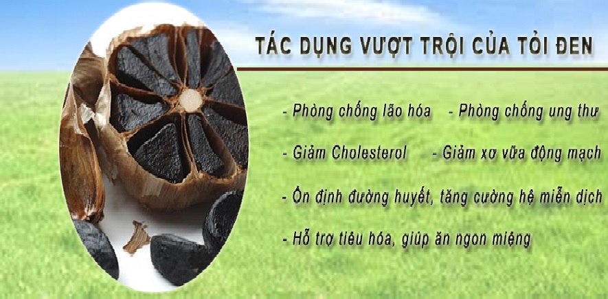 Nồi làm tỏi đen GL-1999