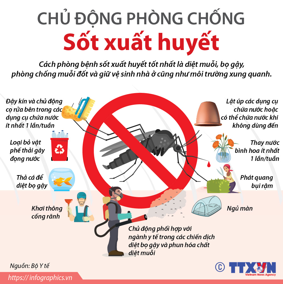 Phòng chống dịch bệnh sốt xuất huyết