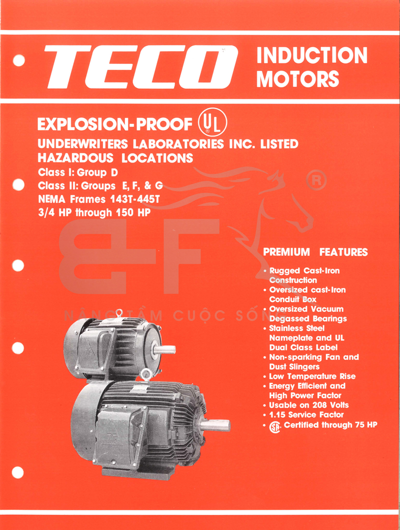 Motor TECO Chống Cháy Nổ TECO - 3 Pha - 380V - 1450 rpm