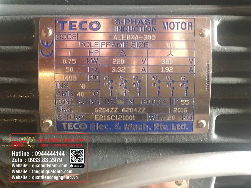 Tem motor phòng nổ TECO chân đế lồng sóc kín AEEBXA