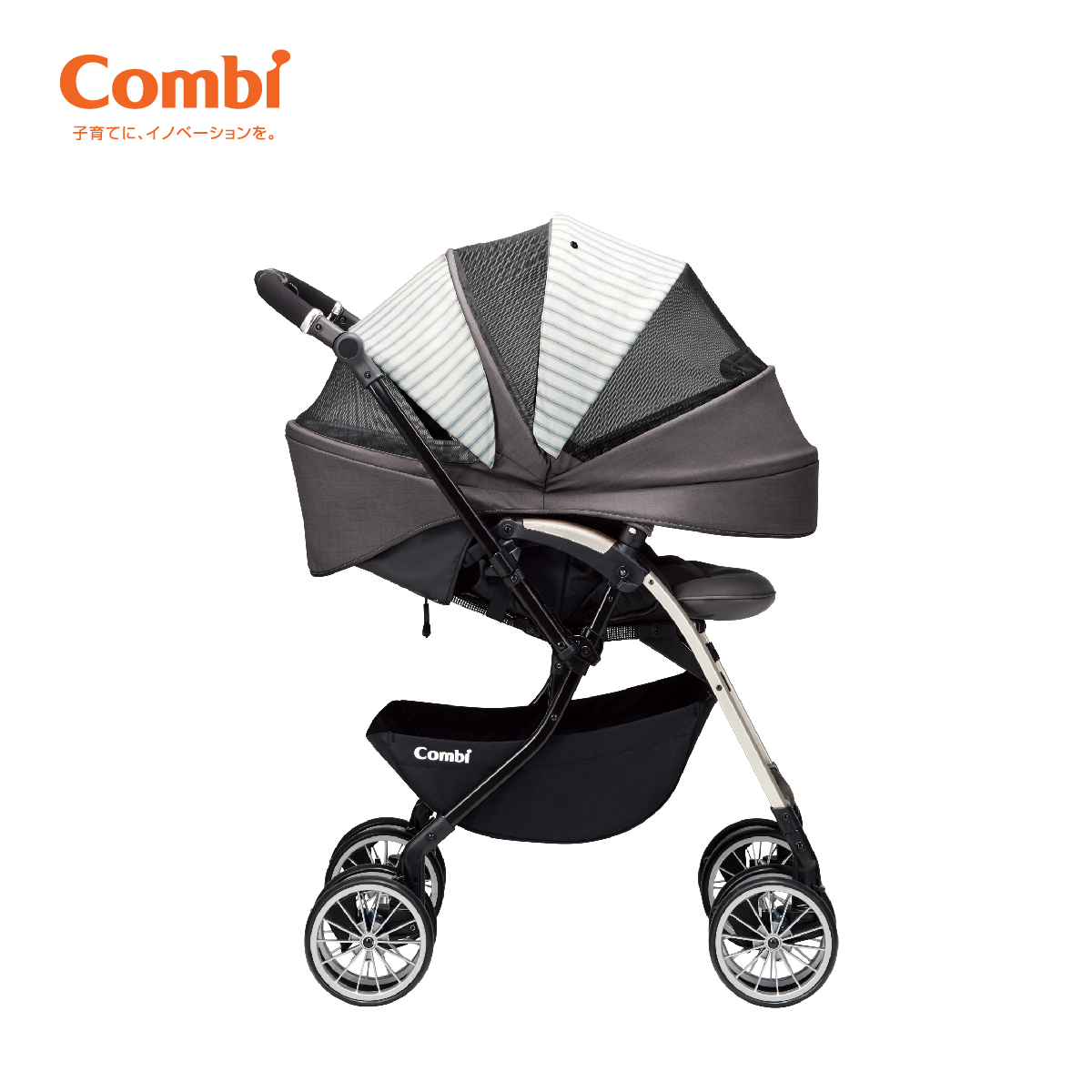 Xe đẩy trẻ em Combi rất được các mẹ tin dùng