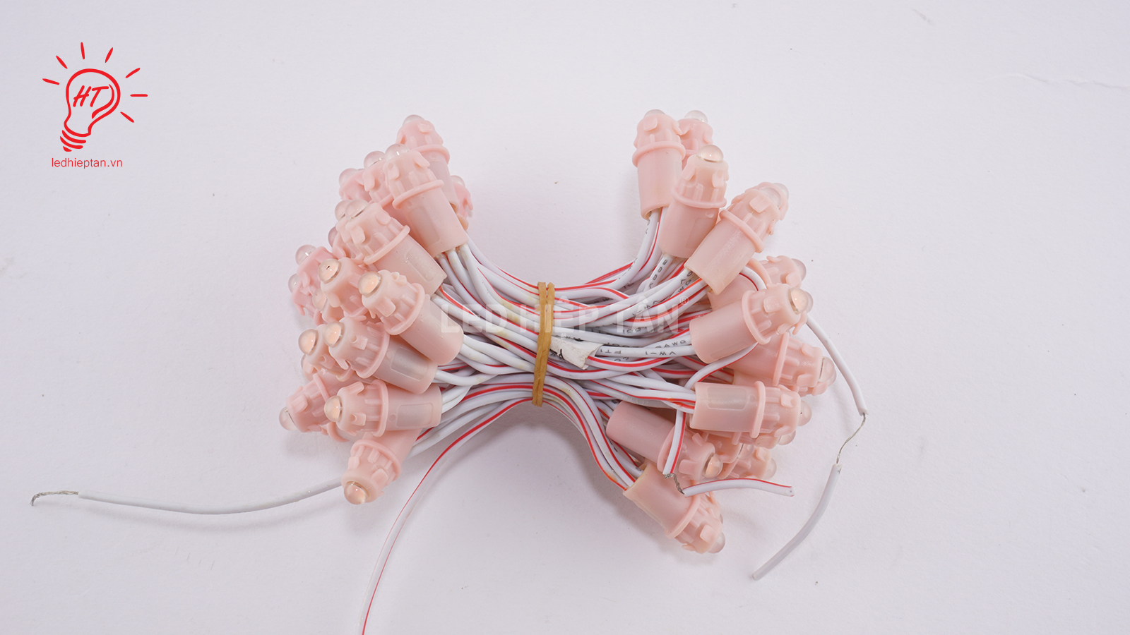 untitled-2-2e1b4844-7e88-4e26-9241-c0098e9acf16.jpg?v=1568944518106