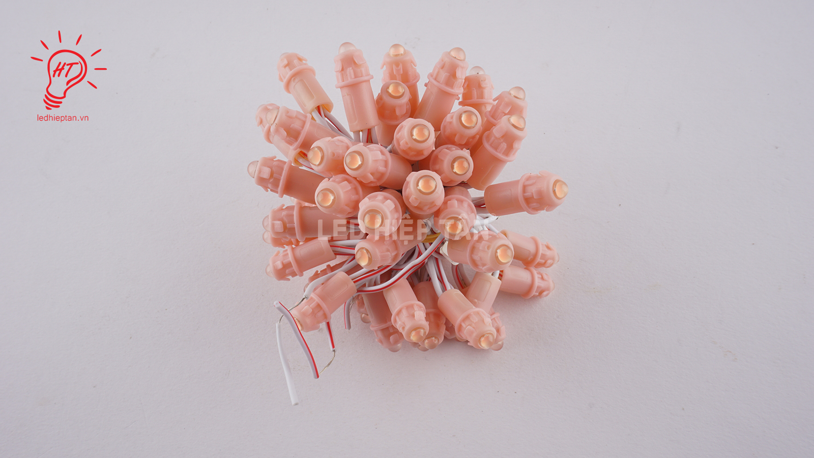 untitled-5-0166edb6-92aa-466e-bf84-ea5045f337a5.jpg?v=1568944545337