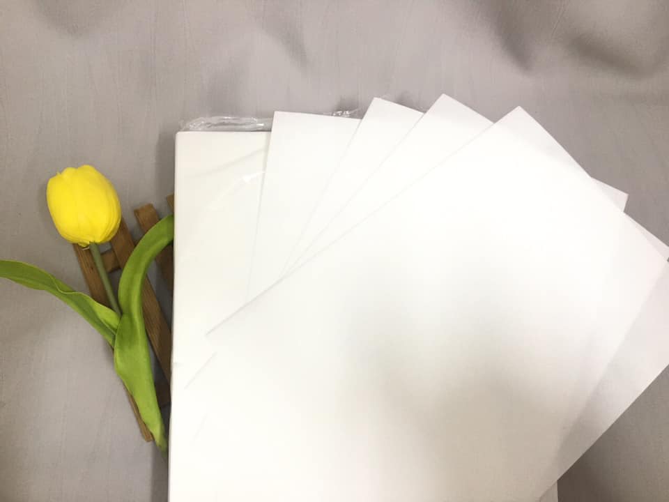 7. Lưu Ý Khi Trồng Hoa Giấy Gạo