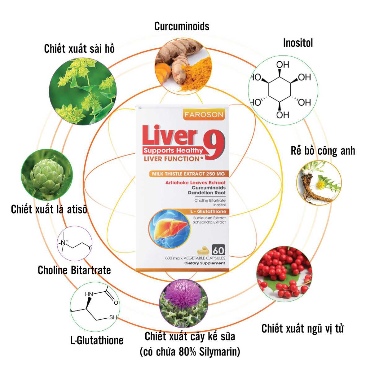 Viên uống thải độc và tăng cường chức năng gan Faroson Liver 9 60 viên | EVASHOP.COM.VN