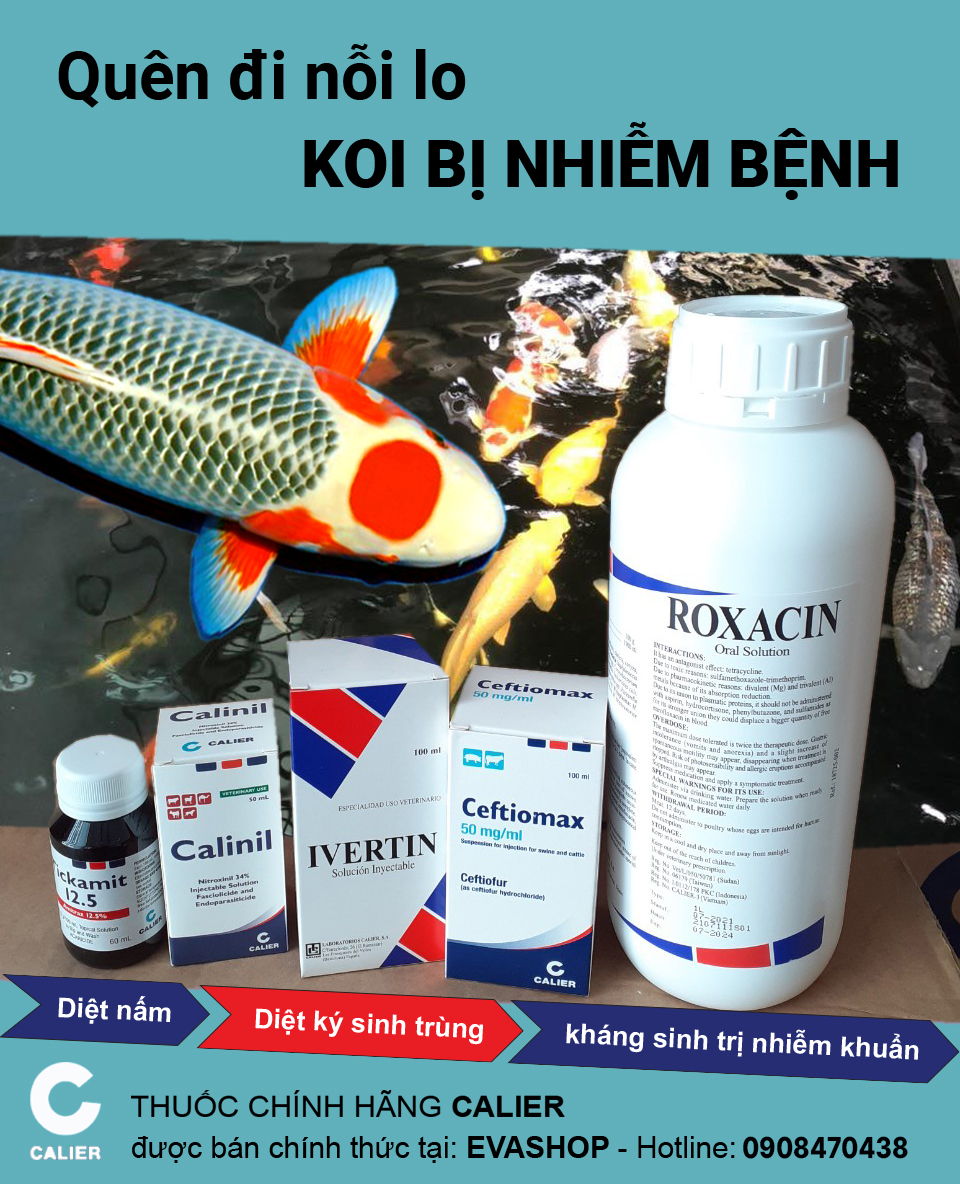 Kem dưỡng trắng da, nâng tone ốc sên Nella Oneday Whitener Cream 50ml