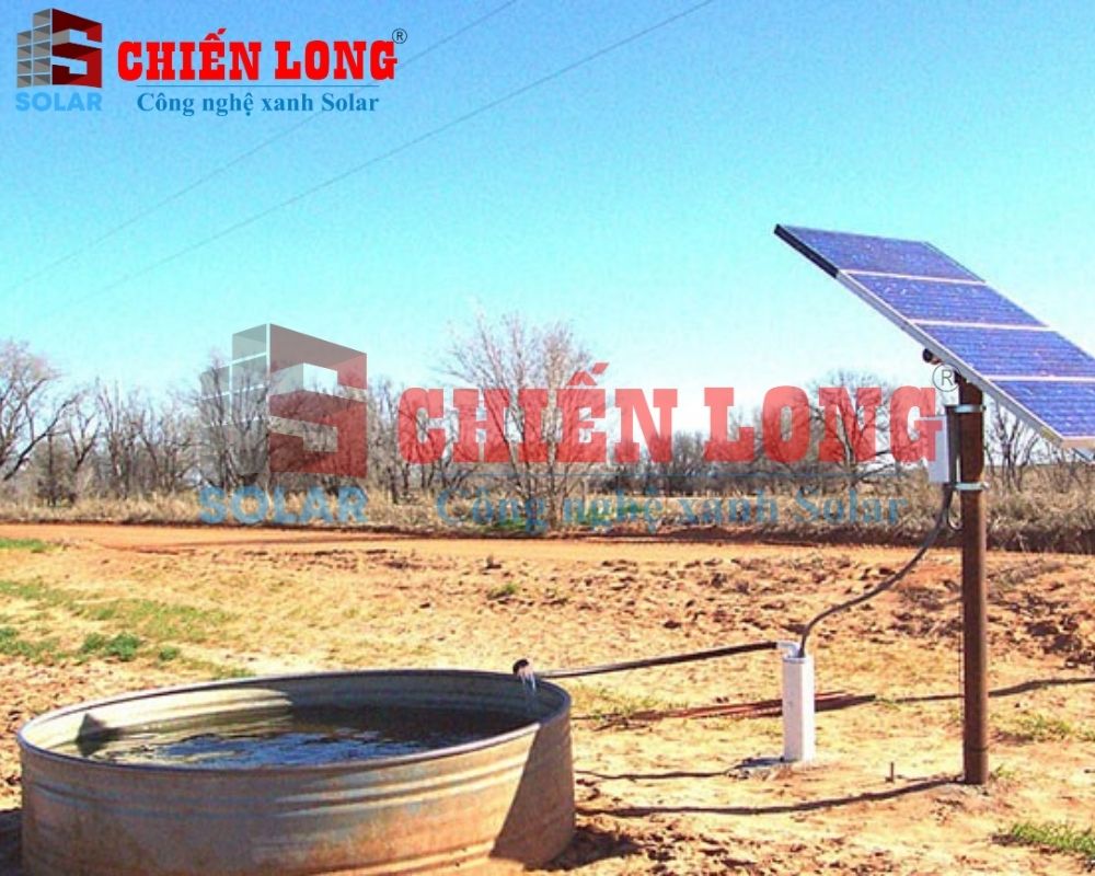 Thành quả đến từ việc kết hợp - Hệ thống bơm nước dùng điện mặt trời góp phần bảo vệ môi trường xanh