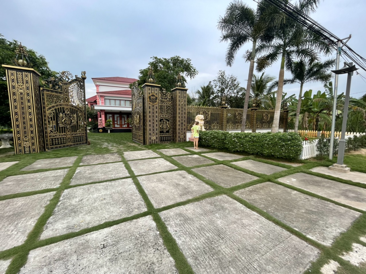 z2254647316650-4e1c39d5286def6f232d07aec365a5d8-4b6062eb-0ffc-421a-a1c2-2b096e76ddde z2254647316650-4e1c39d5286def6f232d07aec365a5d8-4b6062eb-0ffc-421a-a1c2-2b096e76ddde