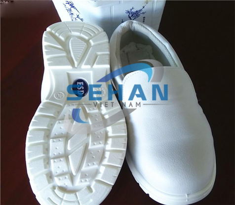 Giầy phòng sạch/Giầy esd